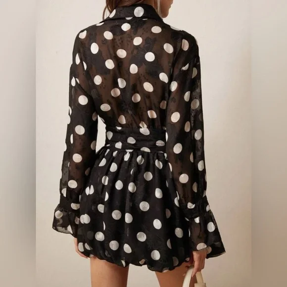 Black and White Polka Dot Sheer Chiffon Dress - Picture 4 of 5